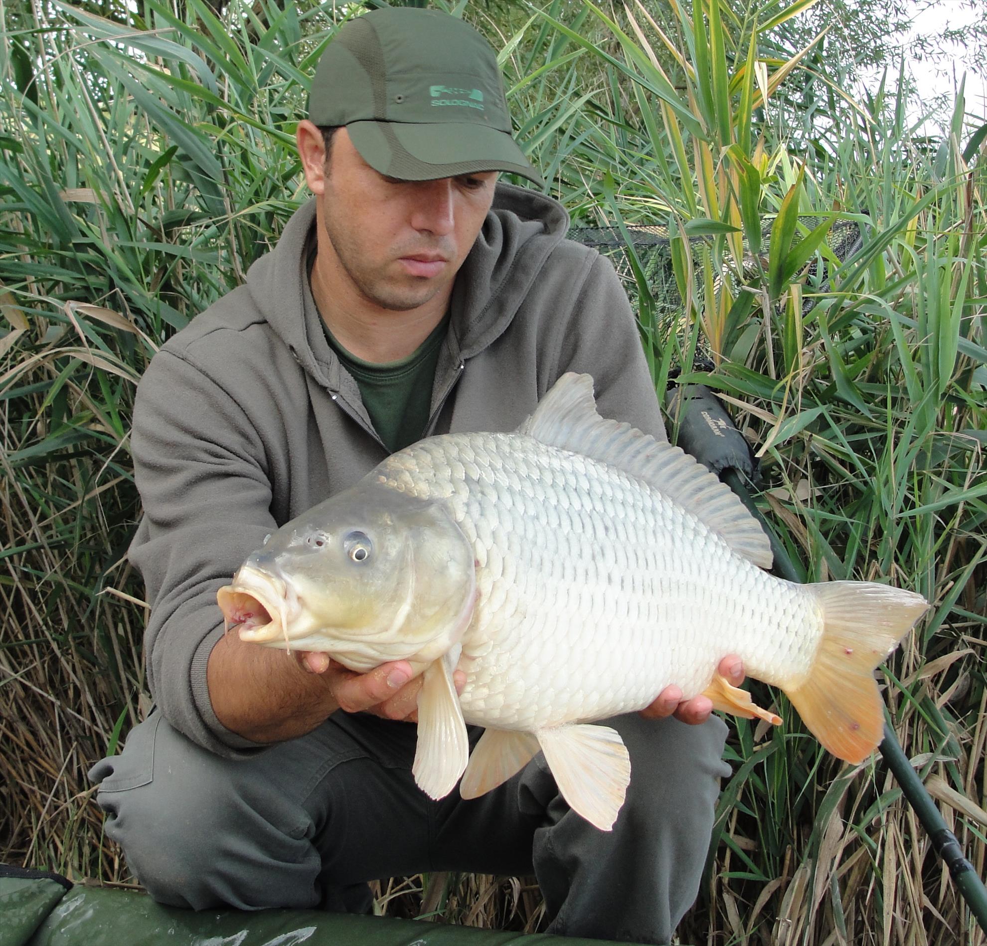 Magura 9 1 - 3 aug. - Mai marisori...